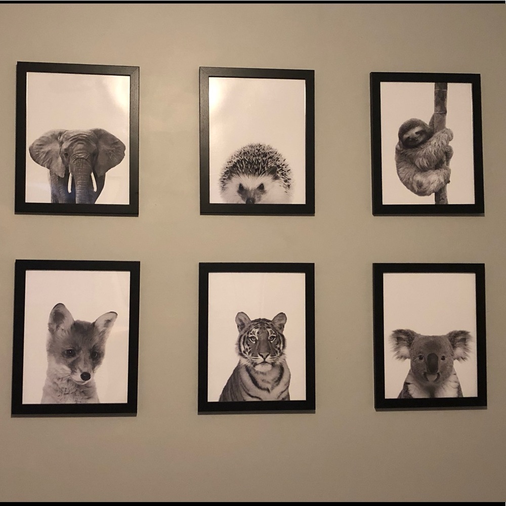 FRAMED ETSY HIGH QUALITY ANIMAL PORTRAITS 6